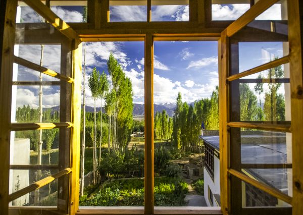 Cost of Wood Window Replacement in Northville
